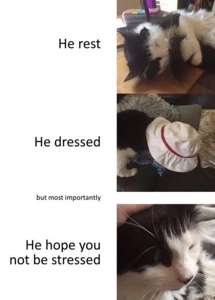 He Hope You Not Be Stressed