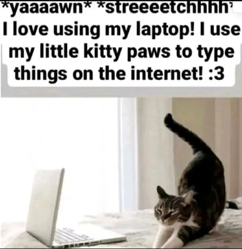 Kitty Paws Typing