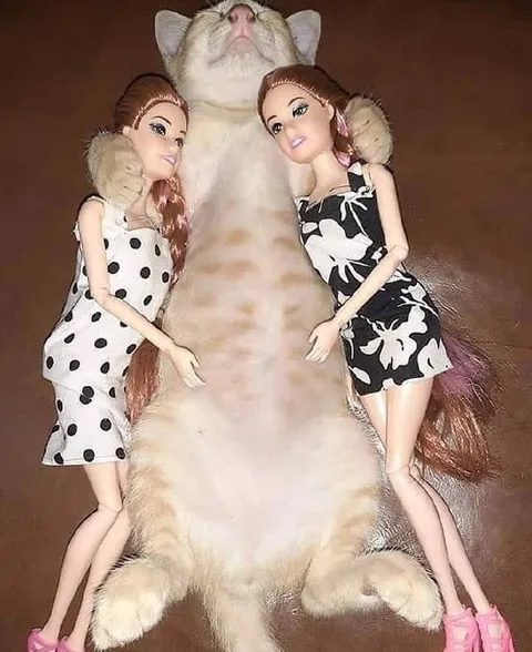 Кот между двумя куклами