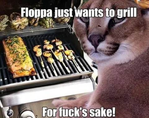 Floppa just wants to grill