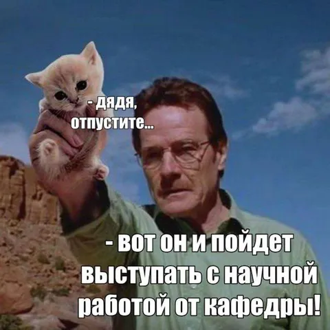 Кот выступает с научной работой