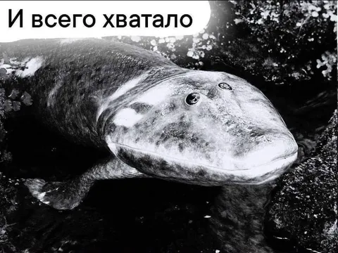 И всего хватало