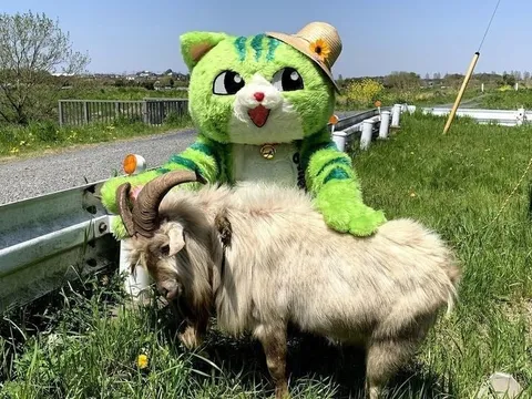 Зелёный кот на козле
