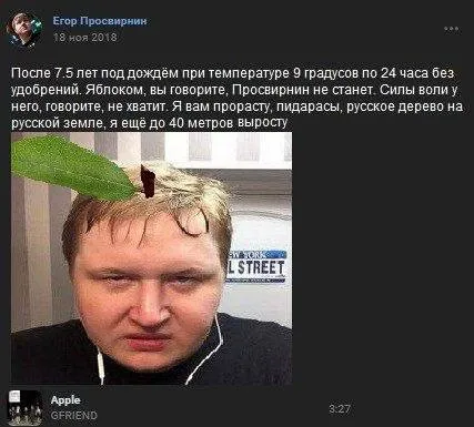 Русское дерево до 40 метров