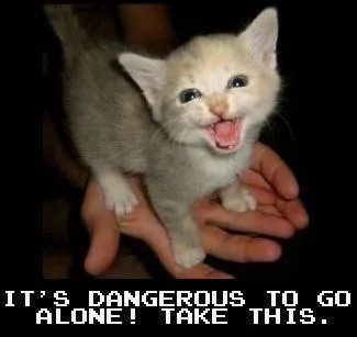 It's Dangerous to Go Alone Kitten