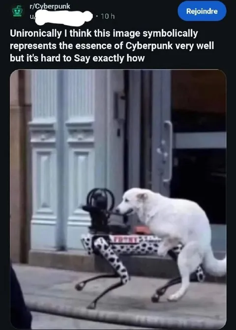 Dog Embodies Cyberpunk
