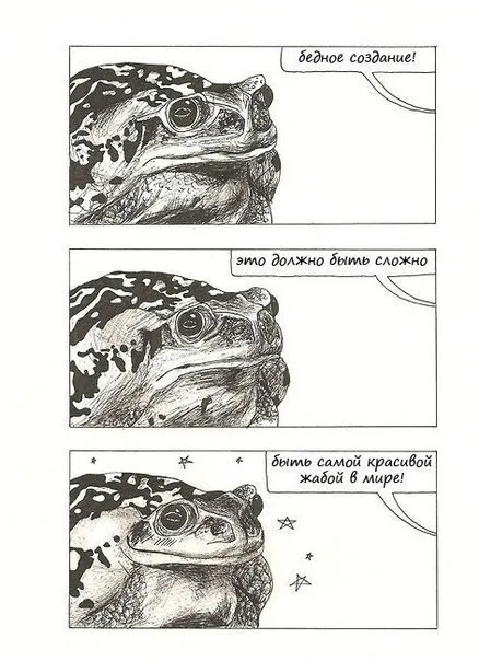 Самая красивая жаба в мире