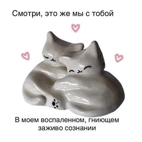 Мы с тобой влюблённые котики