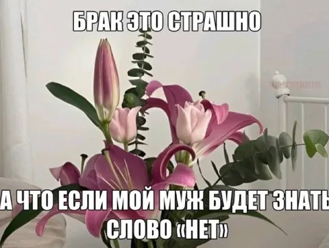 Муж узнает слово «нет»