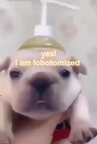 Lobotomized Silly Puppy