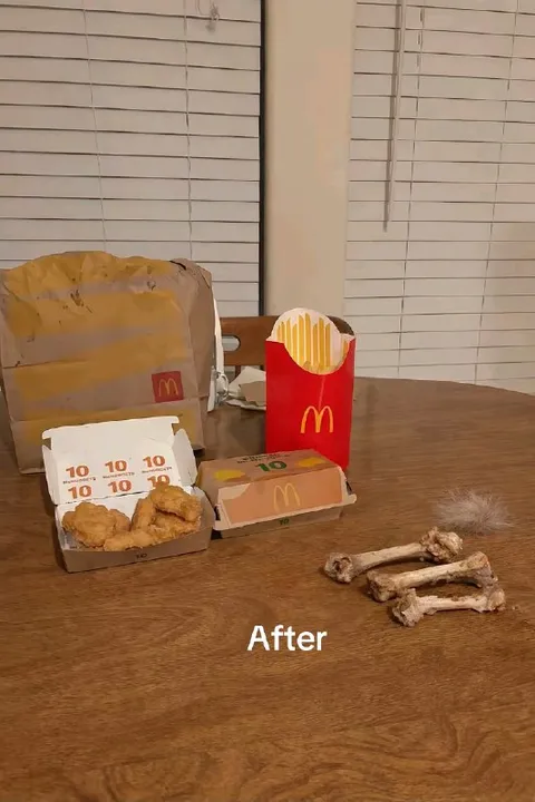 McDonald's Meal Aftermath