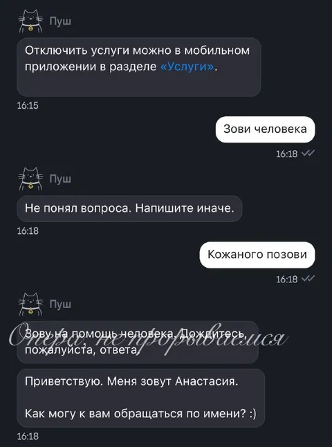 Когда искусственный интеллект зовёт Анастасию
