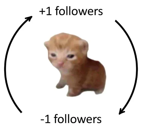 Cat Follower Count Loop