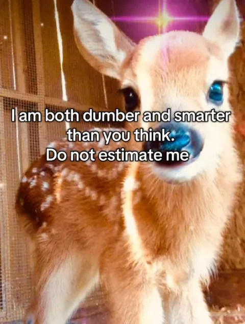 Dumber and Smarter Fawn