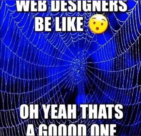 Web Designers Be Like