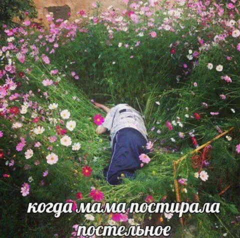 Когда мама постирала постельное