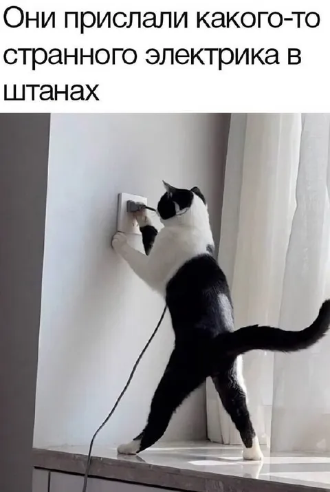 Странный электрик в штанах