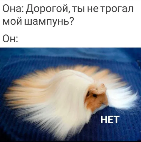 Когда шампунь трогать нельзя