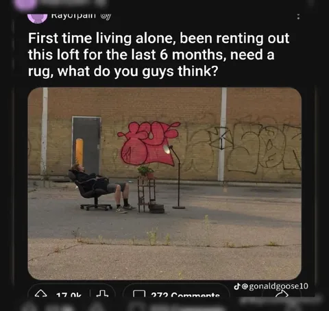 Living Alone Needs a Rug