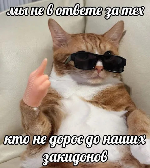 Кот не отвечает за закидоны