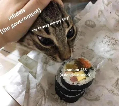 Hungry Boy Eats Uranium