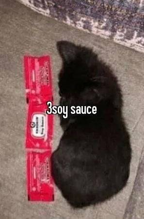 Cat Sized Like Soy Sauce