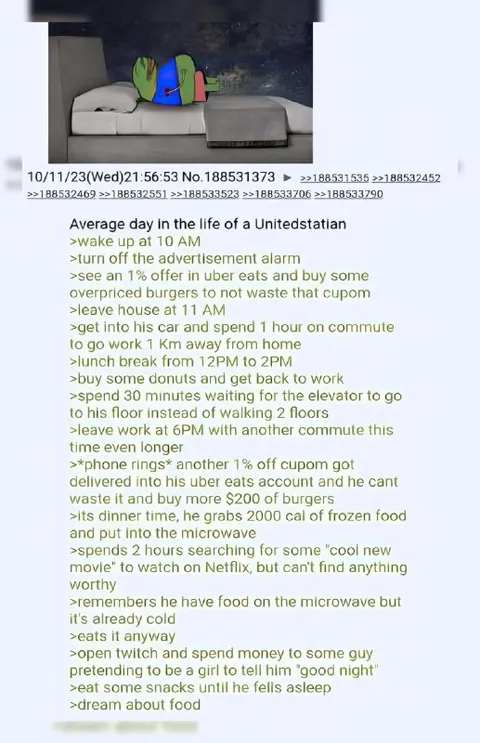 Average Day in the Life of a Unitedstatian
