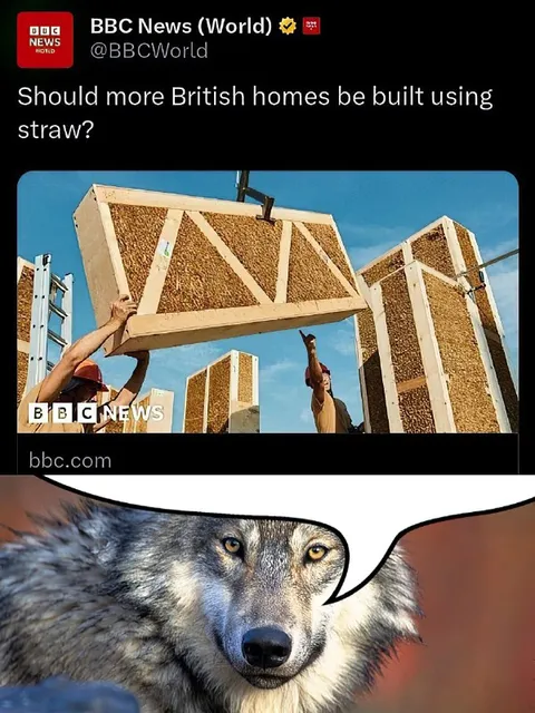 Should British Homes Be Built Using Straw?