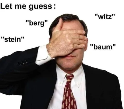Let Me Guess German Words