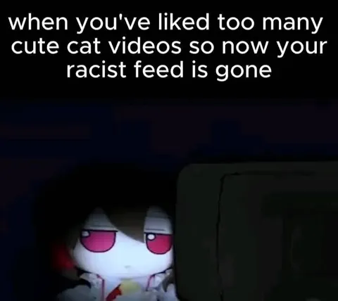Cute Cat Videos Ruin the Feed