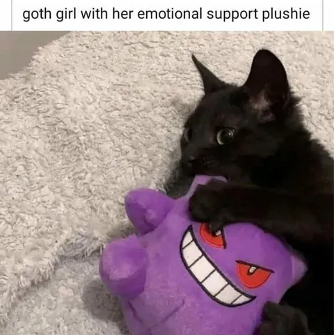 Goth Girl and Support Plushie