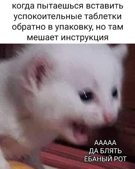 Кот не может убрать инструкцию