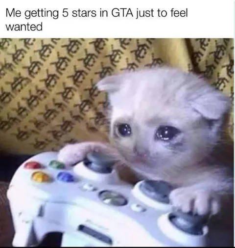 Kitten Getting Five Stars in GTA