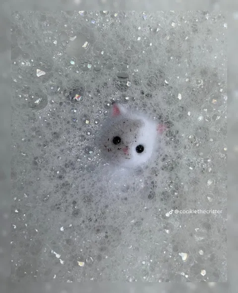 Котёнок в мыльной пене