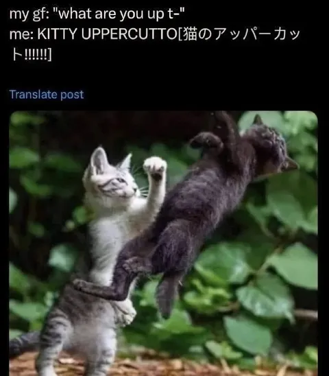 Kitty Uppercut Girlfriend Joke