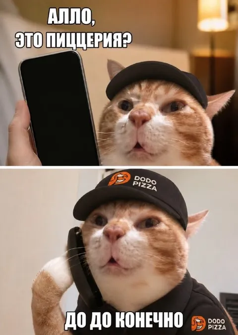 Кот отвечает из пиццерии