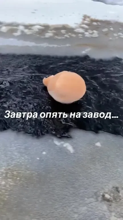 Завтра опять на завод