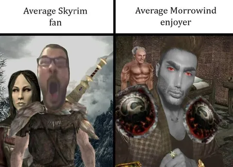Average Skyrim Fan vs Morrowind Enjoyer