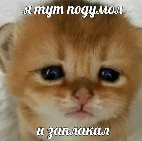 Котёнок передумал и заплакал