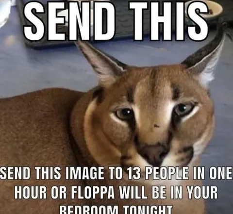 Floppa Chain Message Threat