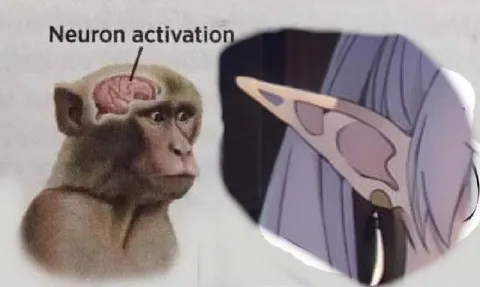 Neuron Activation Monkey