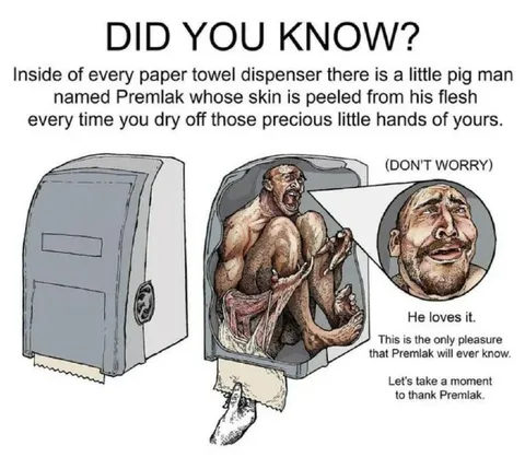 The Paper Towel Dispenser Pig Man