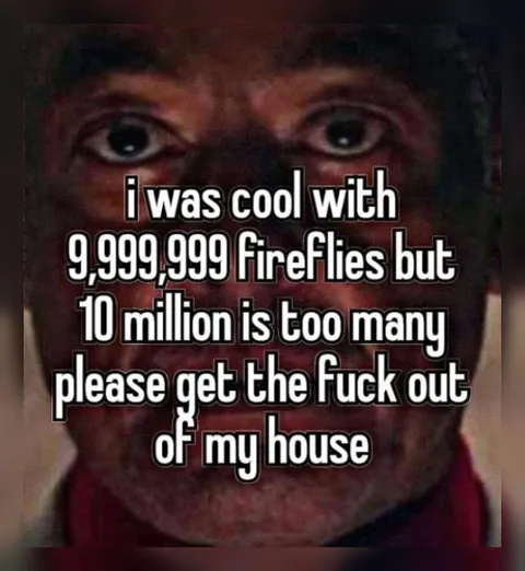 Too Many Fireflies in My House