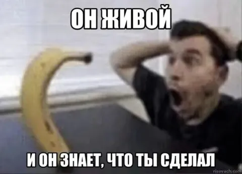 Он живой и всё знает