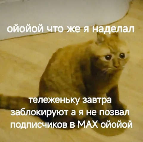 Кот забыл позвать подписчиков