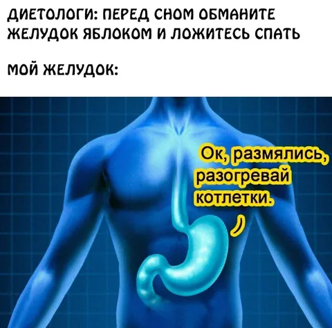 Желудок разогревает котлетки