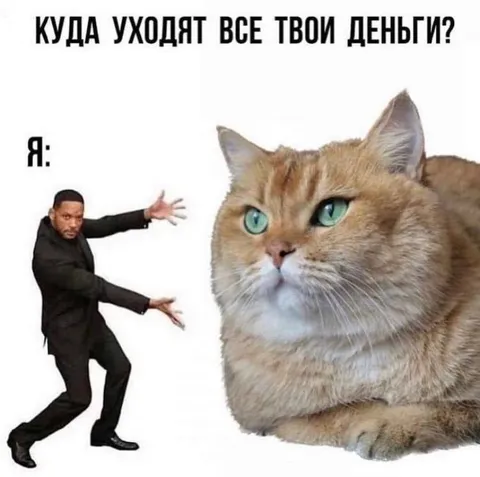 Куда уходят все деньги