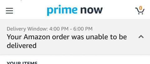 Amazon Delivery Failure