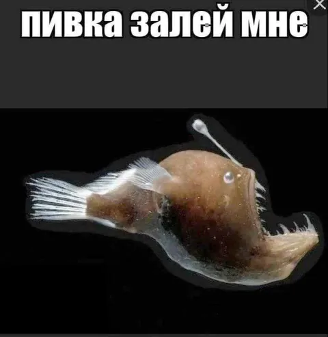 Пивка залей мне