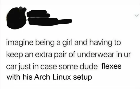 Arch Linux Setup Flex
